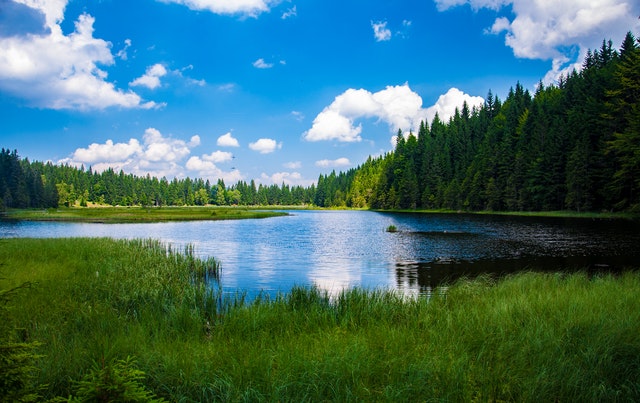 Relaks i odpoczynek wiosną nad morzemzapewni Baltic Natur Park domki Niechorze